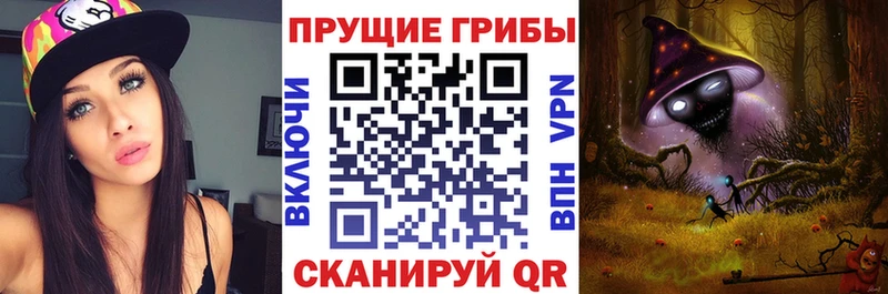 дарнет шоп  Кудрово  Псилоцибиновые грибы Cubensis 